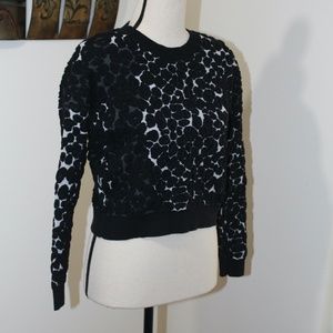 Philosophy, textured crop long sleeve sweater